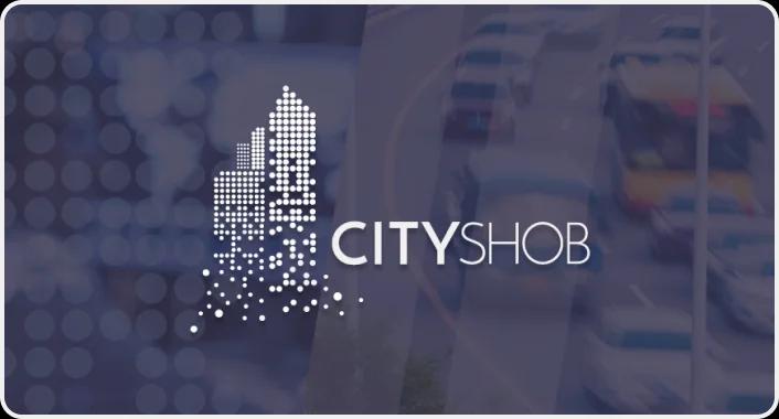Smart city platform development for CityShob