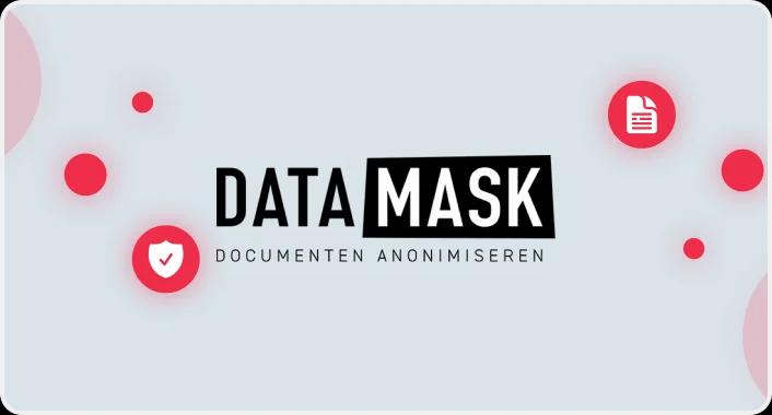 Data anonymization software development by Milies Milies software outsourcing company