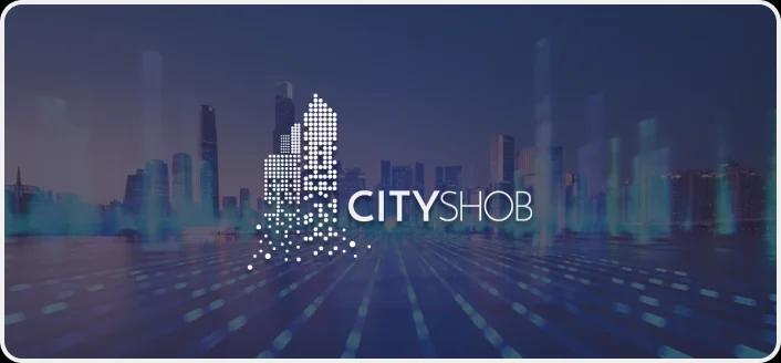 IoT development case study by Milies software development company