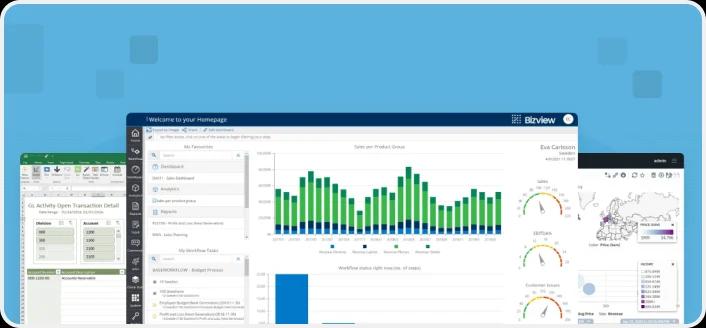Budgeting software development by Milies software development company